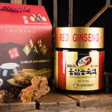 홍삼농축액 500g